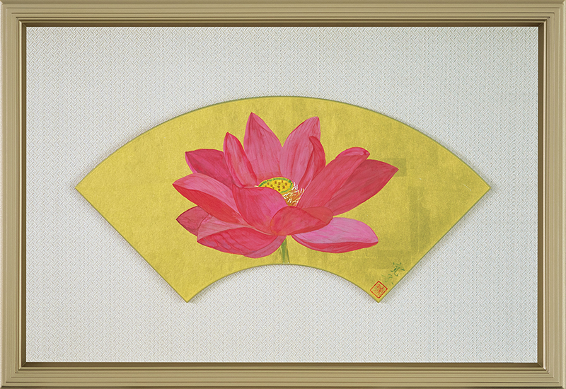 Lotus flower 2014