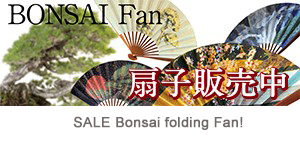 SALE Bonsai folding Fan!